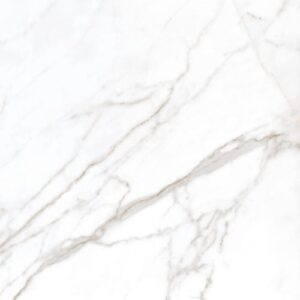 Larissa White Br 60×60